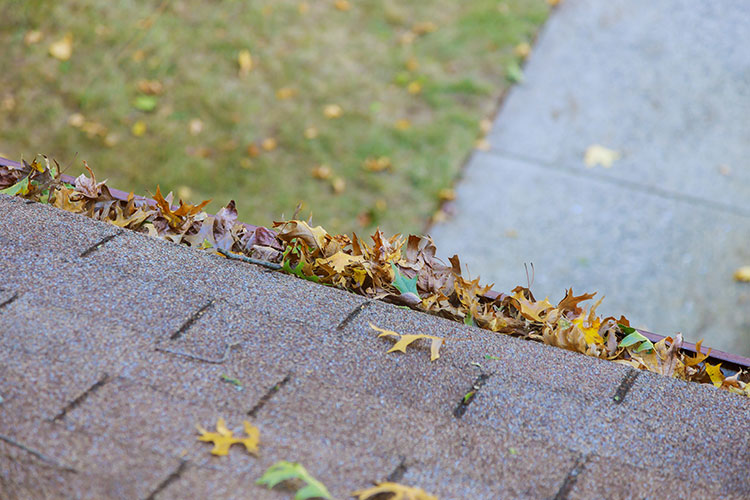 Landscaping & Eavestrough Cleaning in Barrie, Innisfil & Area