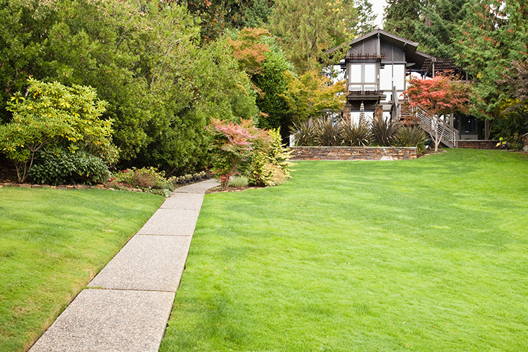 clean-property-after-yard-clean-up-barrie