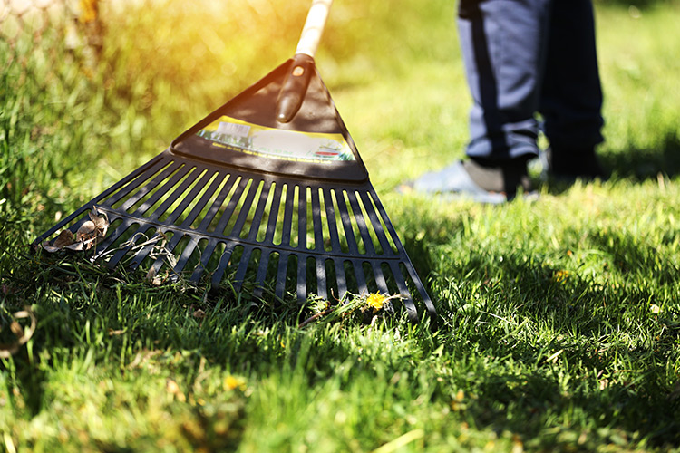 Fall yard clean up and leaf removal in Barrie