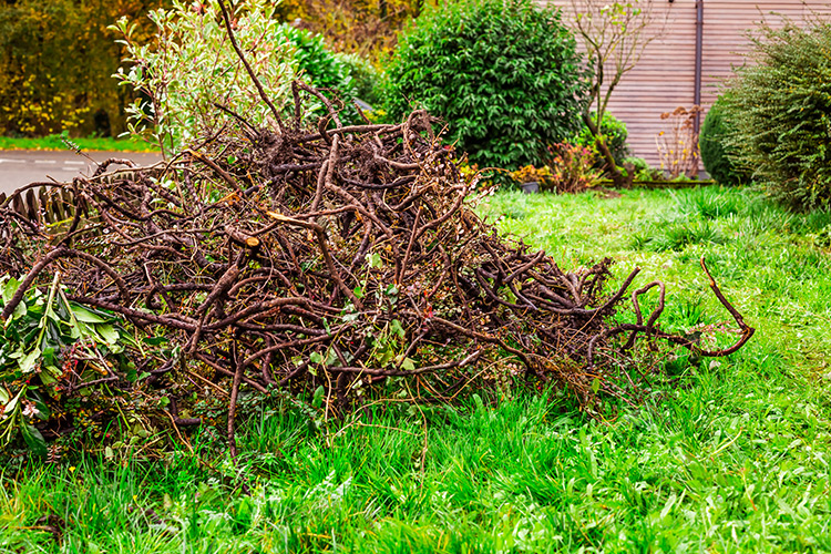 Fall debris removal by OTC Landscaping in Barrie