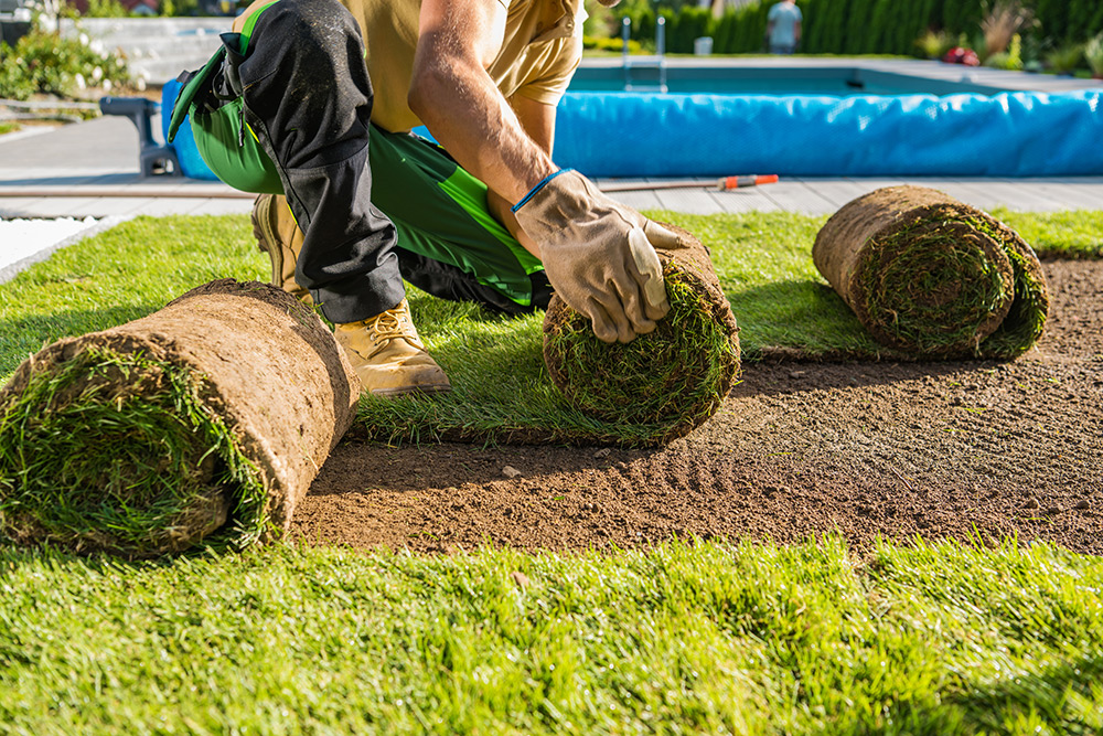 Clean and efficient sod installation delivering a pristine new lawn from top landscaping companies in Barrie.