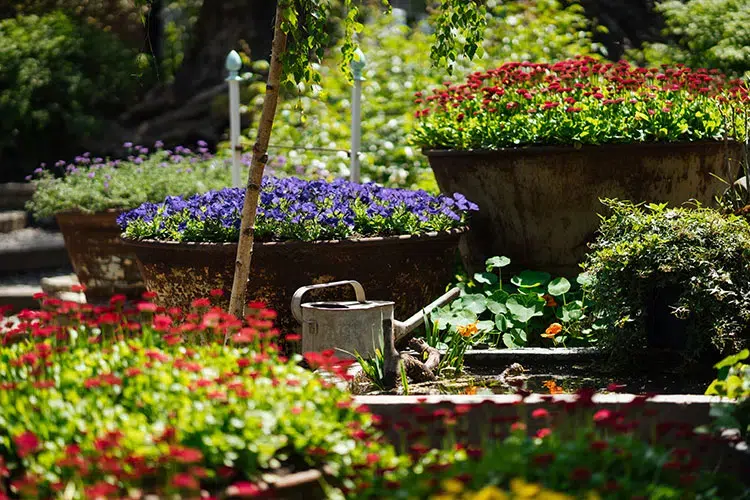 Custom garden design and vibrant planting services from an experienced Barrie landscaping company.