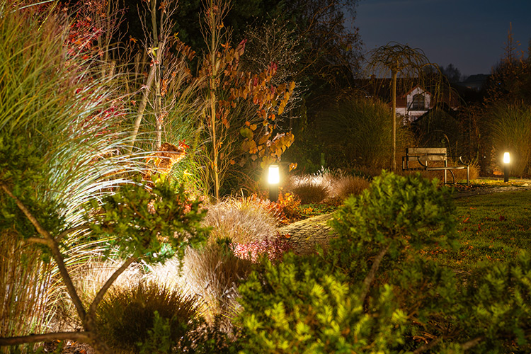 Garden lighting in Barrie to highlight trees and plants