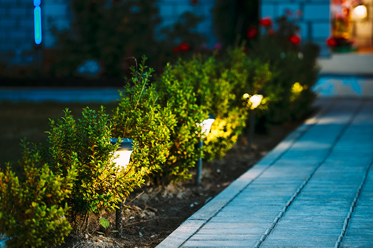 Residential landscape lighting installation in Barrie