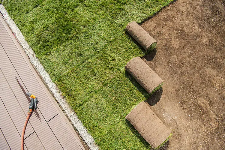 Fresh residential sod installation provided by a trusted local landscaping company in Barrie.