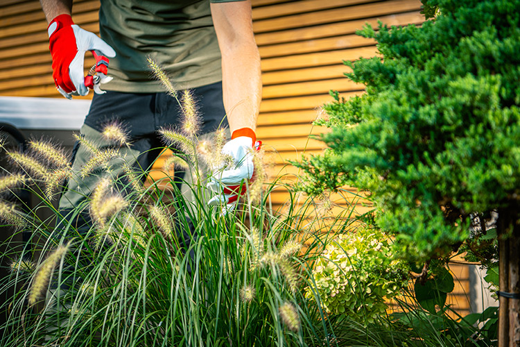 Spring yard clean up services for Barrie properties