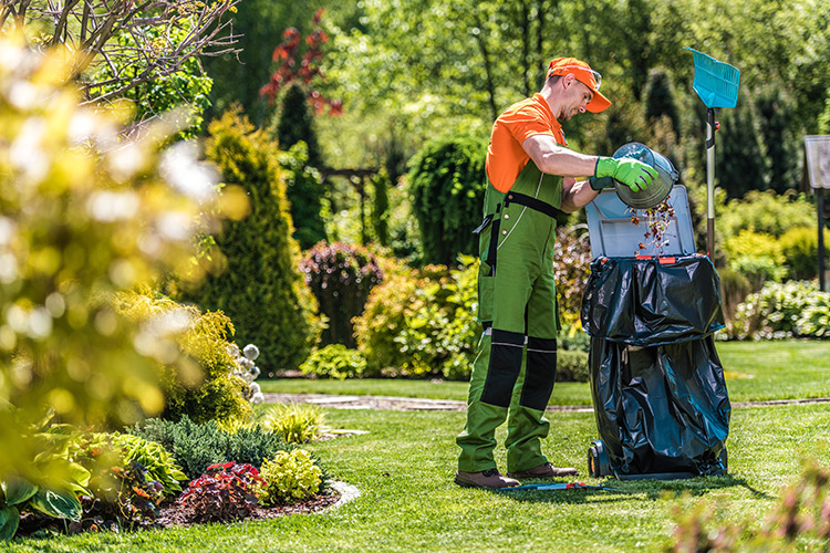 Garden bed clean-up as part of spring yard clean up services in Barrie